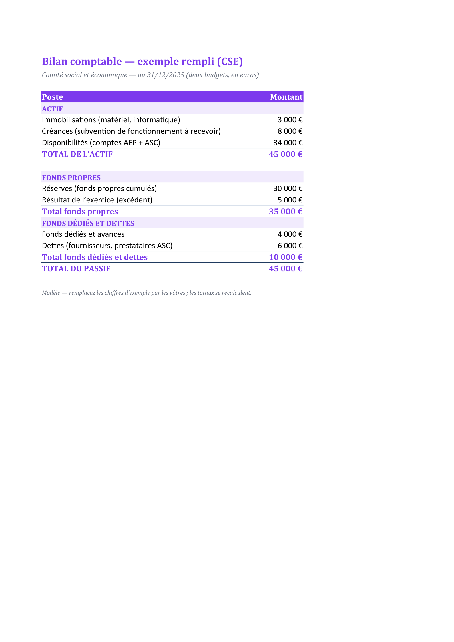 Aperçu — Bilan de CSE rempli (deux budgets)